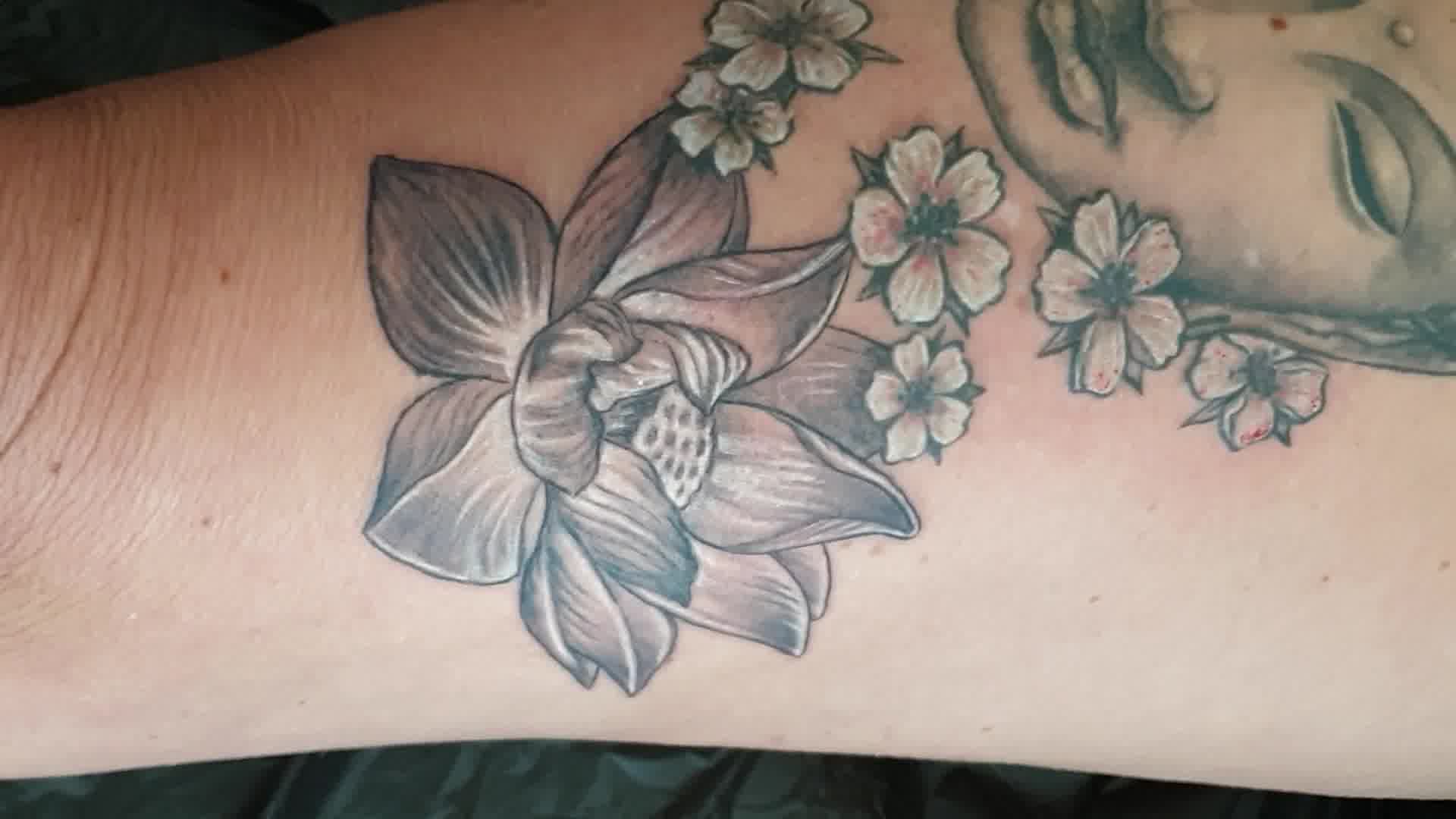 In progress ansehen
